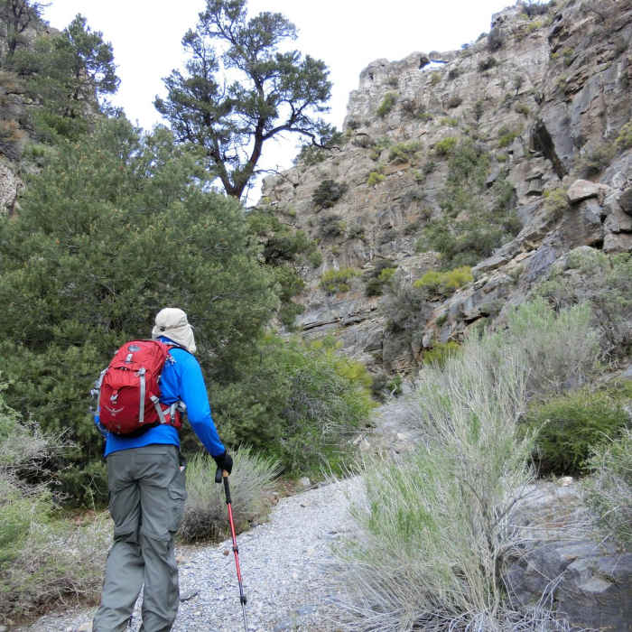 Near Notch Peak Hike