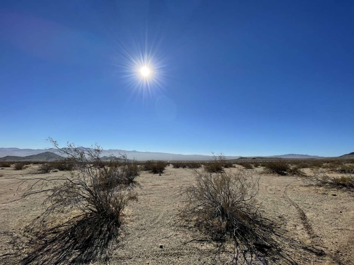 The Uncivilized Trona Road photo 5