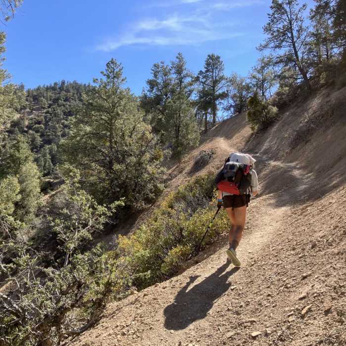 Near North Fork Lockwood Trail