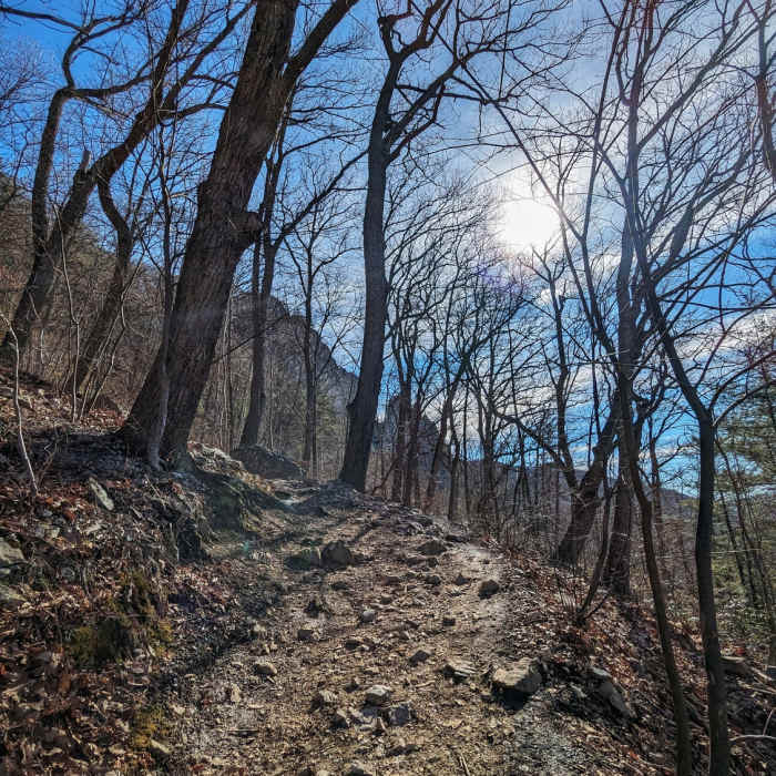 Near Seneca Rocks Trail #563