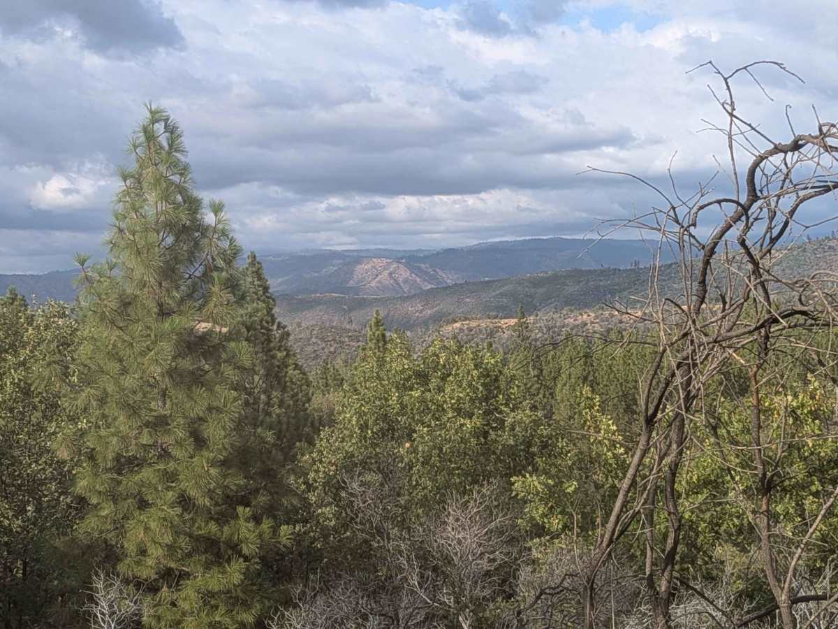 Buffalo Gulch - FS 4S11 photo 4