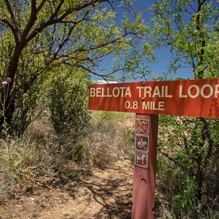 Near Bellota Trail