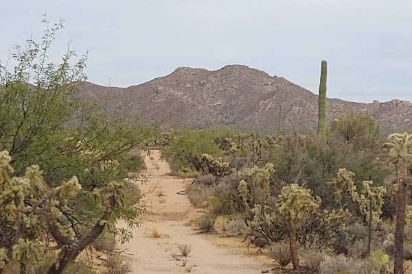 96 Hills Trail