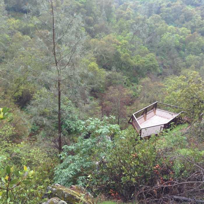 Near Hidden Falls Loop