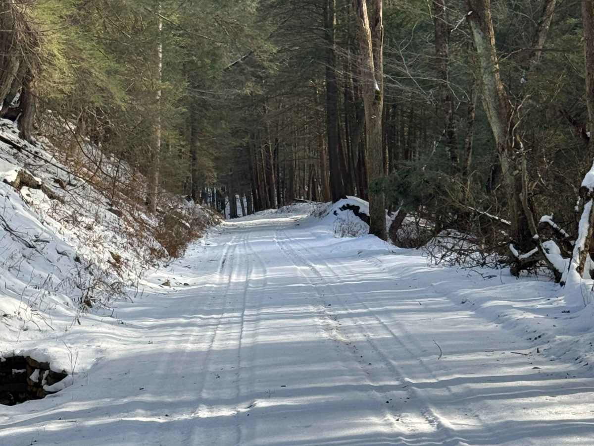 West Branch Road photo 5