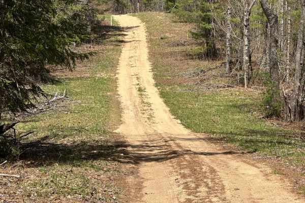 Gump Lake Trail