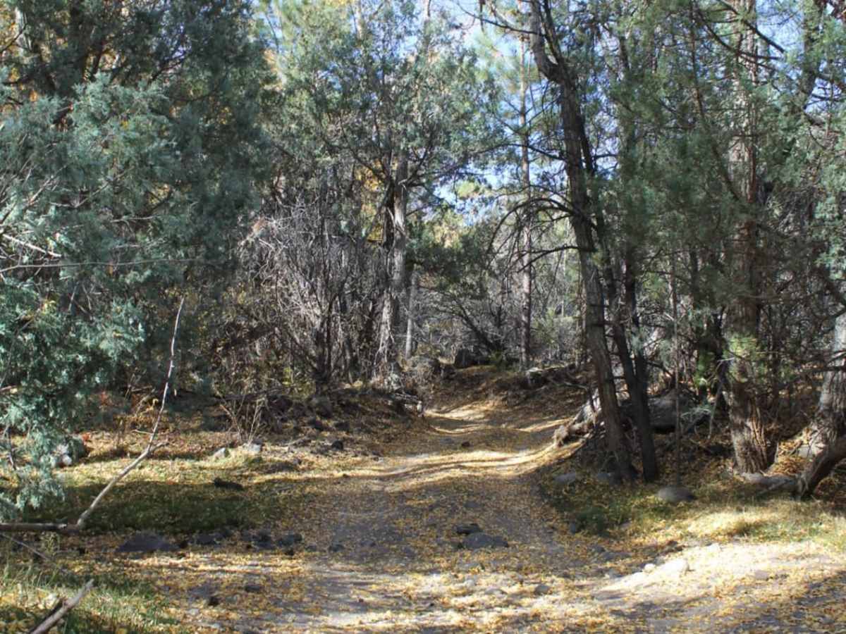 Rio Del Oso photo 5