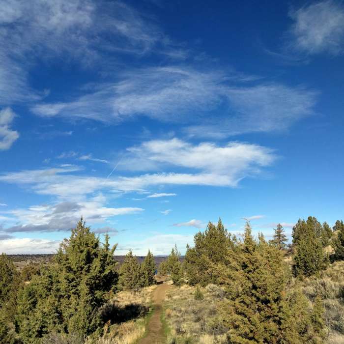 Near Tam-a-Lau Trail