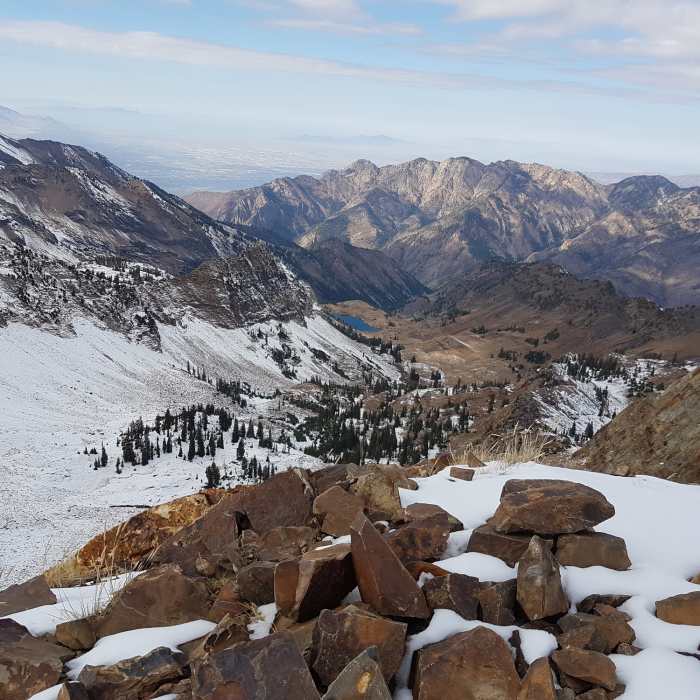 Near Mt. Superior Trail