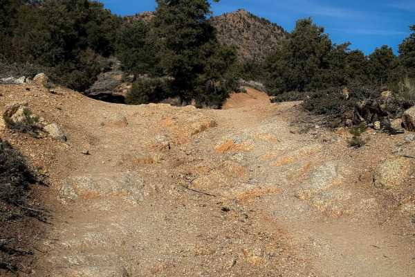 BLM Route 7125