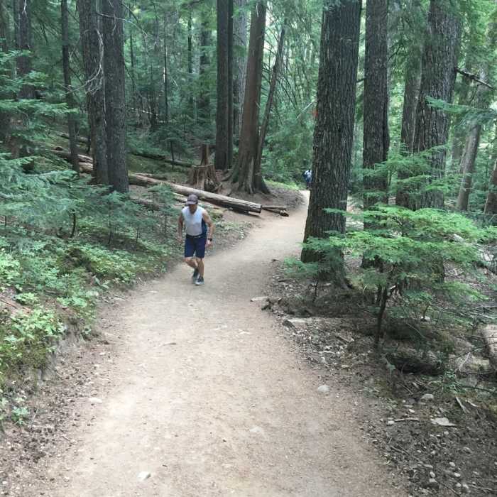 Near Garibaldi Lake Loop Via Taylor Meadows