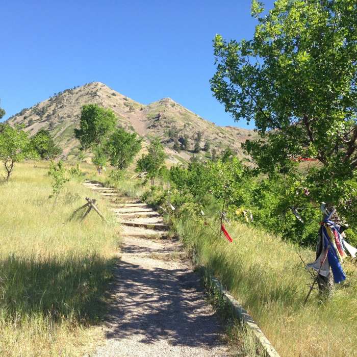 Starting up the Bear Butte Trail. Near Summit Trail