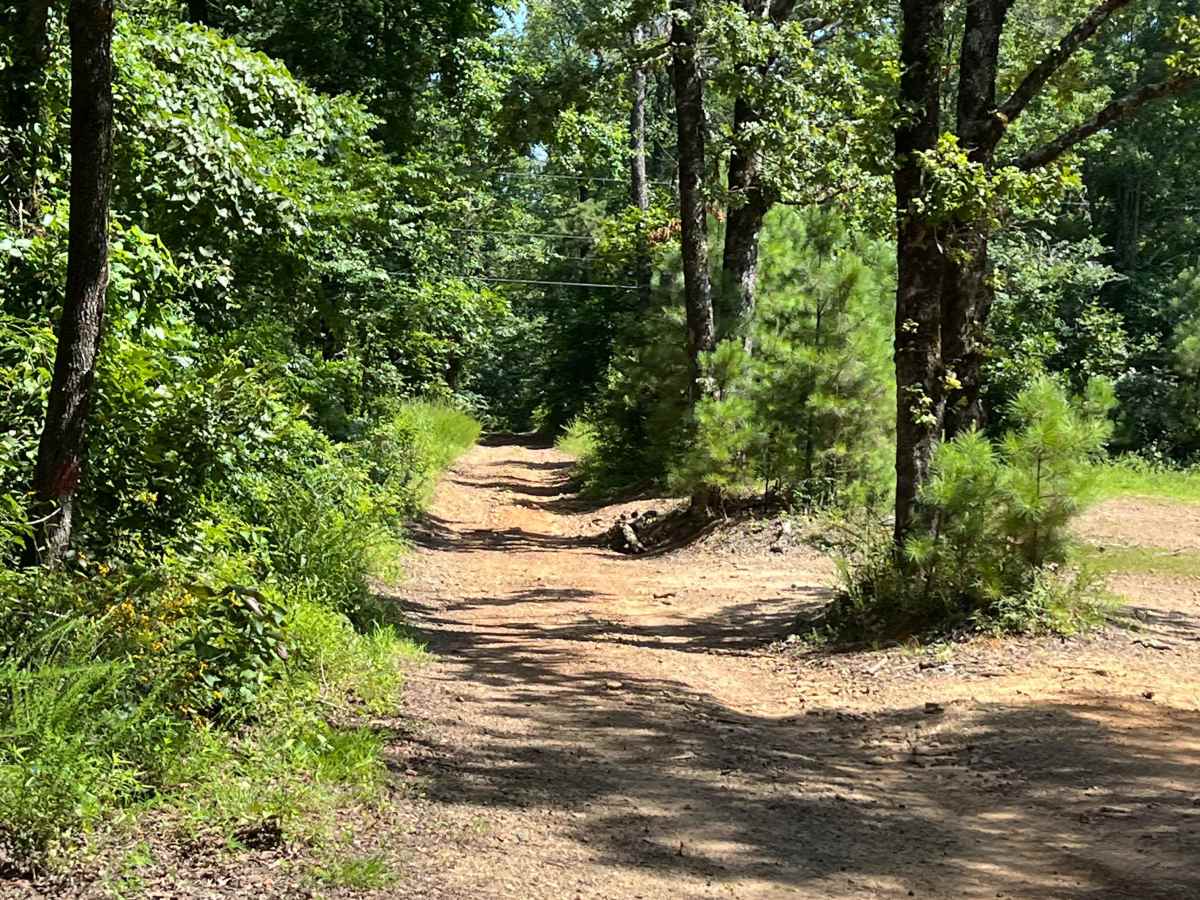 Briarbend Road trail photo
