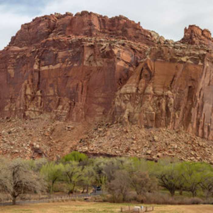 Near Visitor Center Trail
