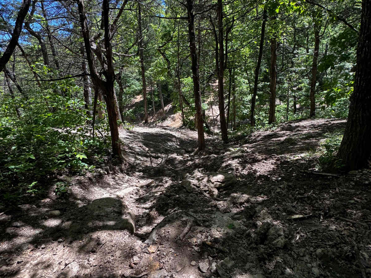 Hillside photo 4