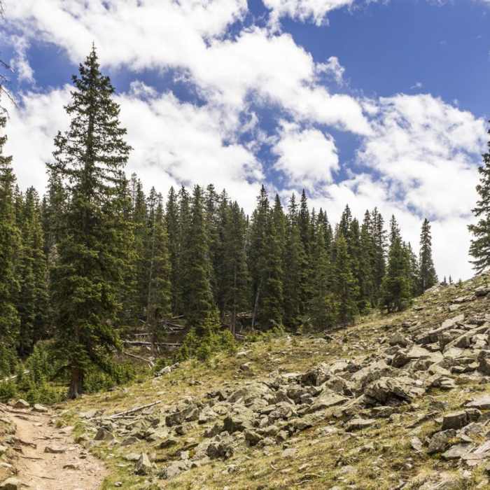 Near Williams Lake Hike