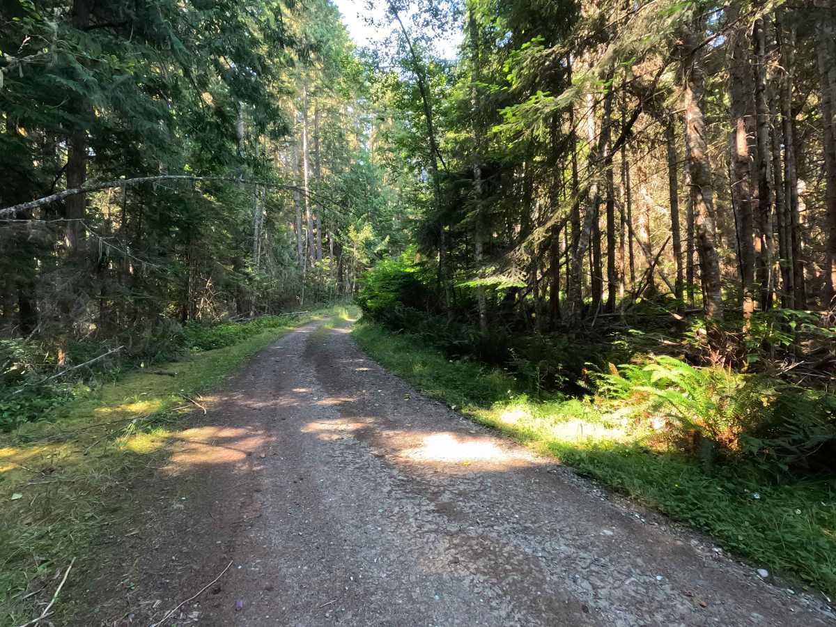 FS 2878060 photo 3