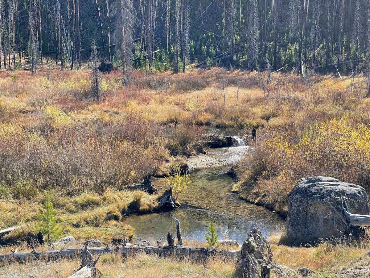 Horse Creek photo 2