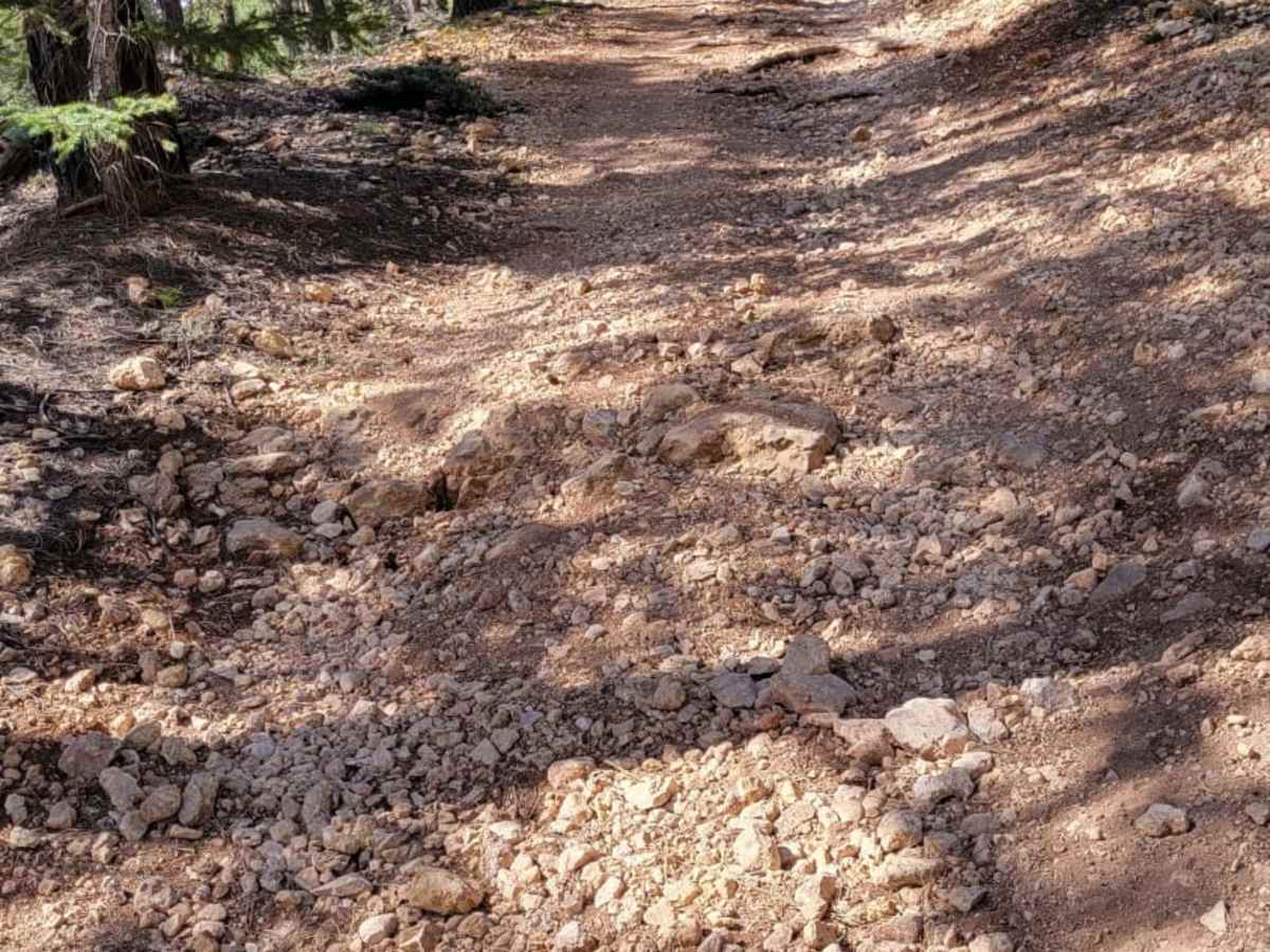 Ponderosa Loop Mini photo 5