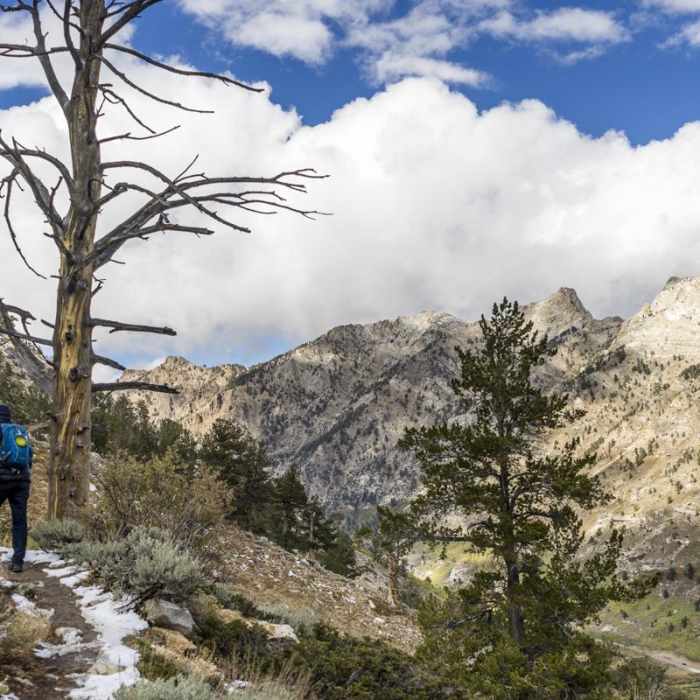 Near Island Lake Trail Near Island Lake Trail