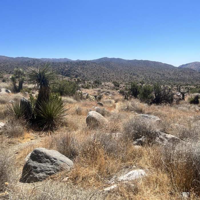 Near Black Rock Campground to Ryan Camp