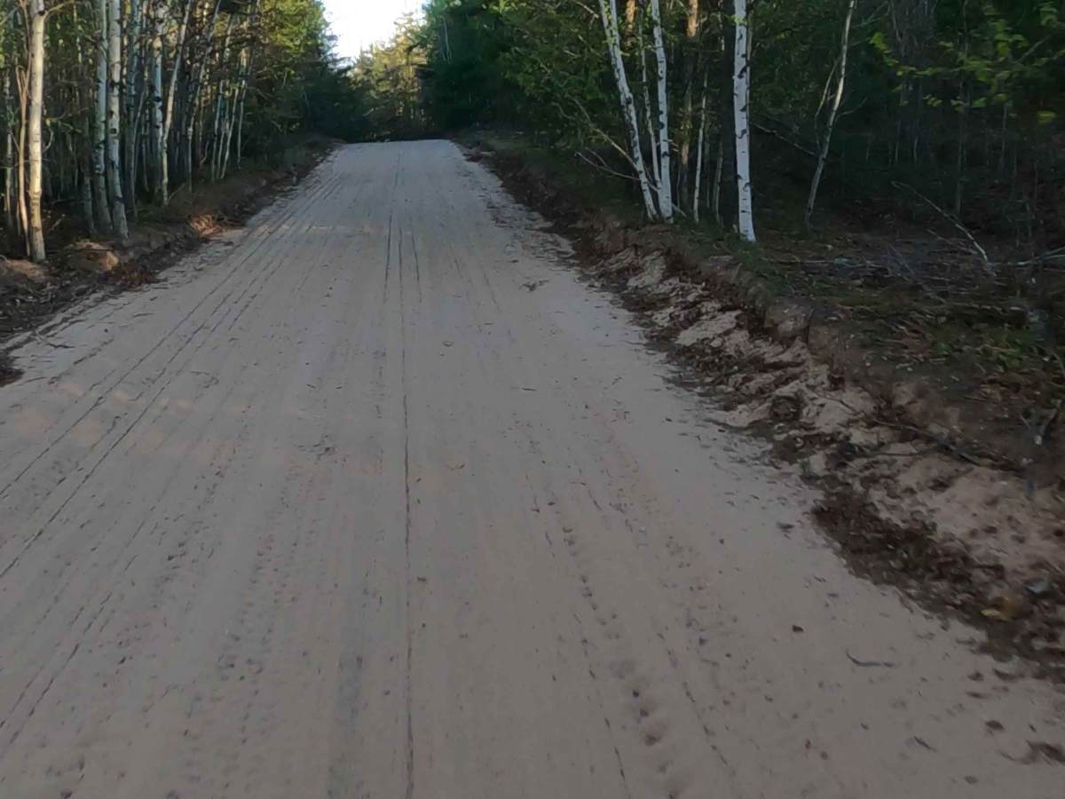 North Maple Block Road - FS 3972  photo 5