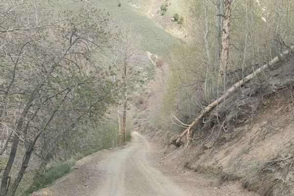 Big Creek Road - NF-012