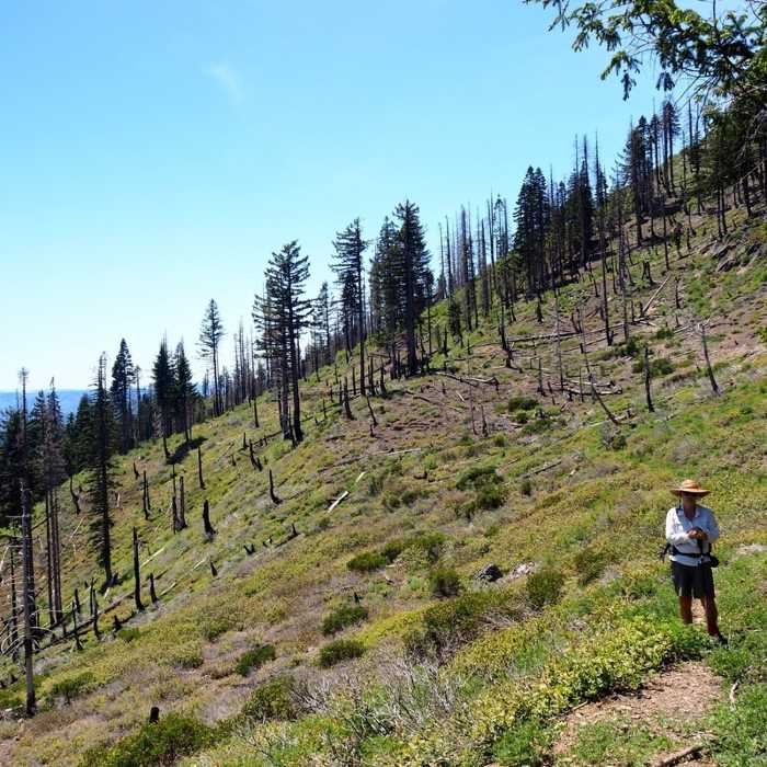 Near Fish Hook Interpretive Trail #1180