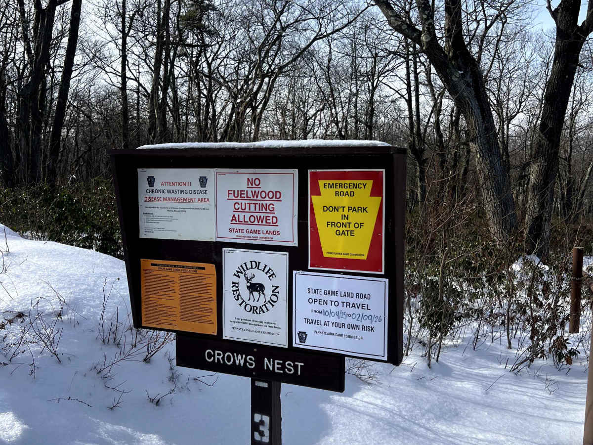 Crow's Nest trail photo