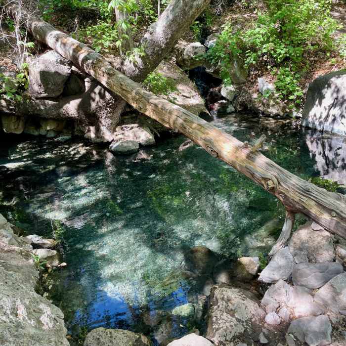 Near Jordan Hot Springs Hike