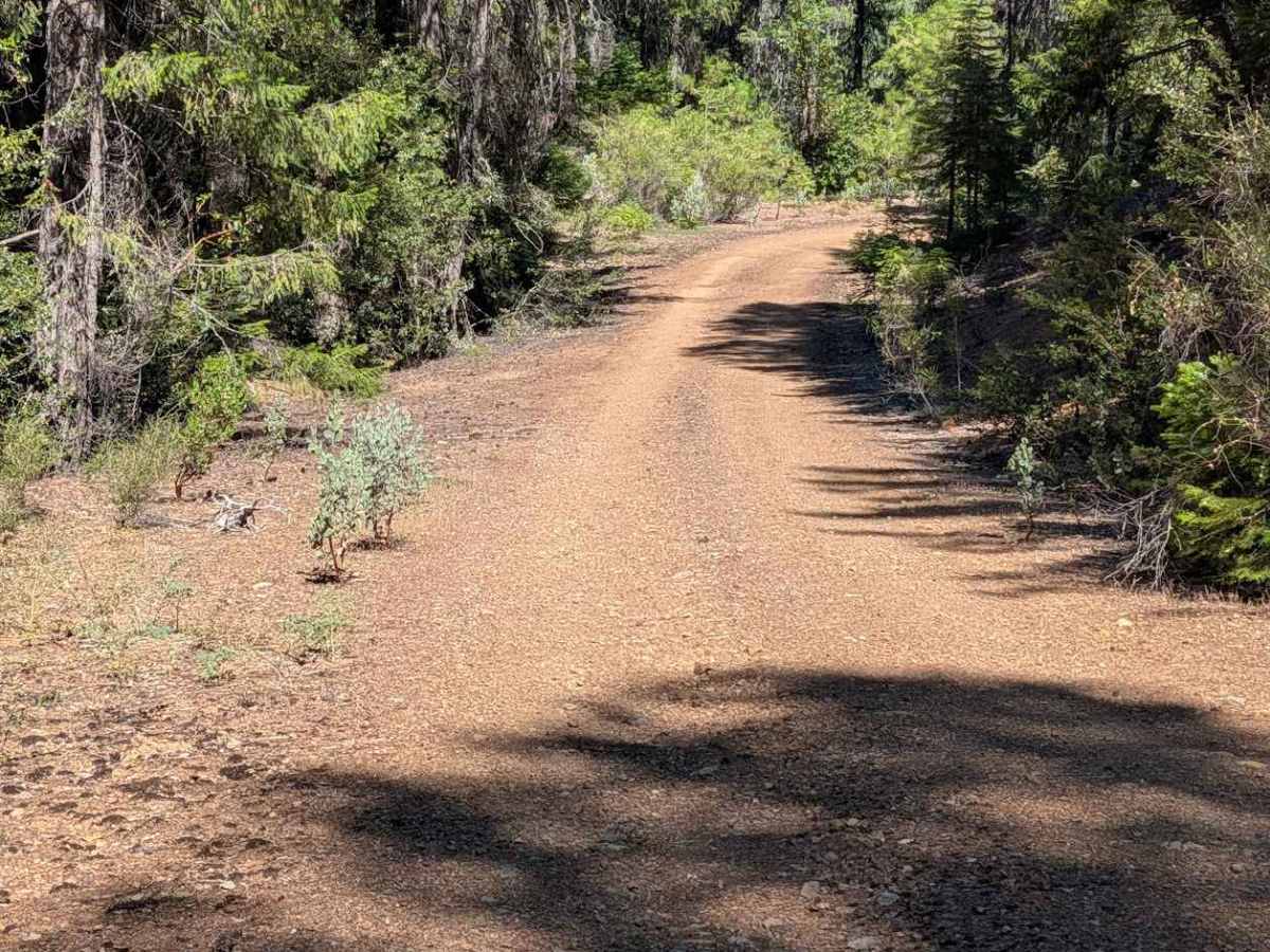 West Dubakella Road - FS 29N68  photo 6