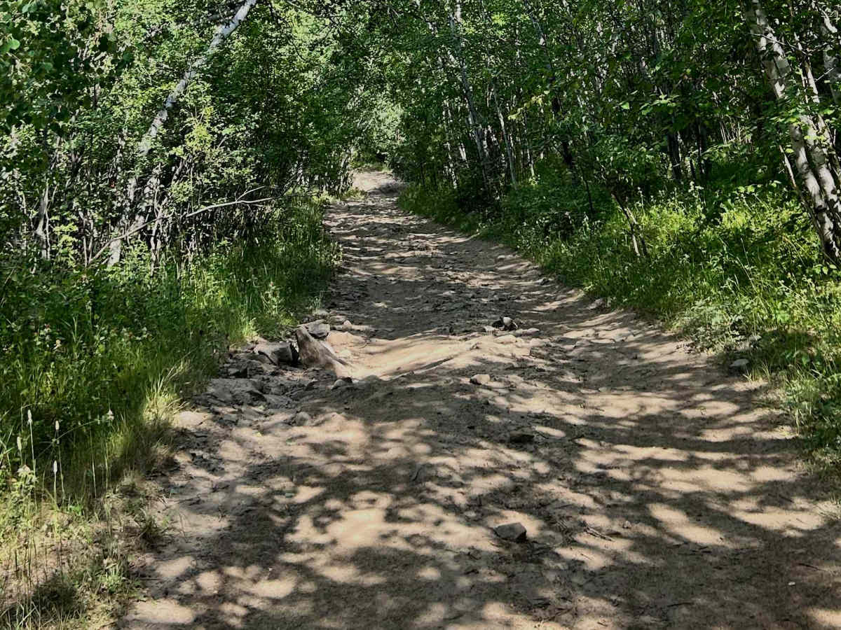 Ruby Gulch Branch - FS 738  photo 4