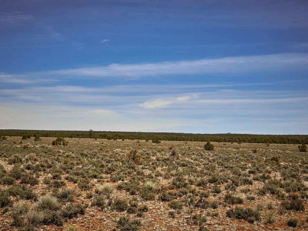 Peterson Flat photo 6
