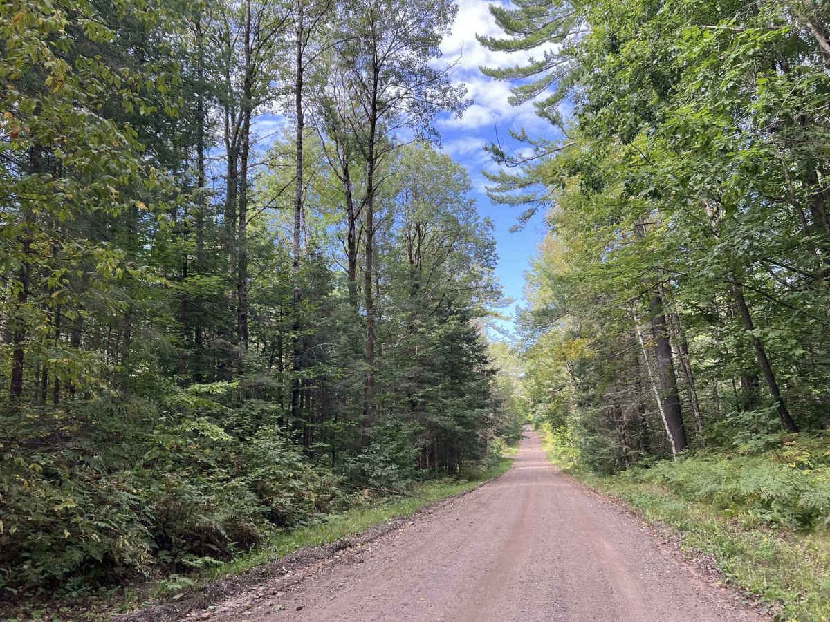 Knowles Creek Road - FS 2349 photo 4