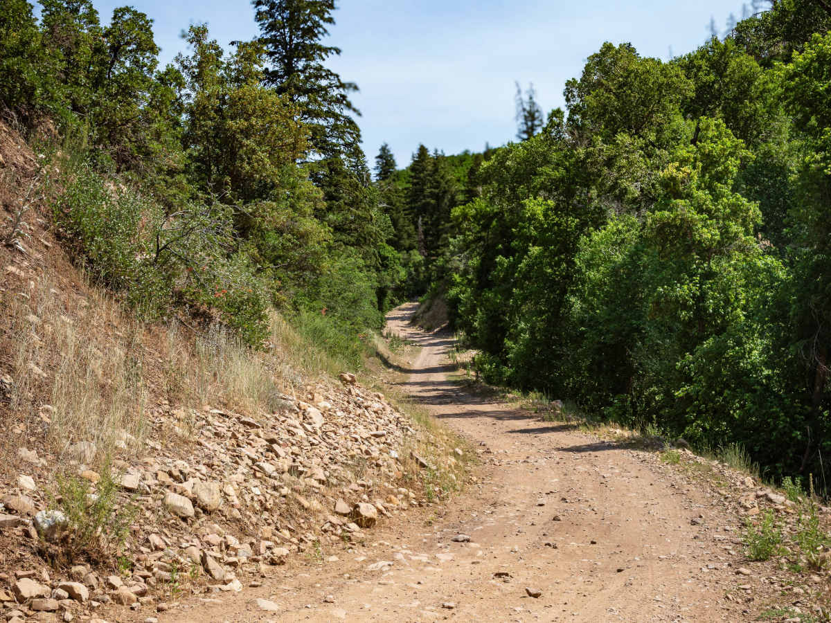 Left Fork Hobble Creek - FS 70132 photo 4