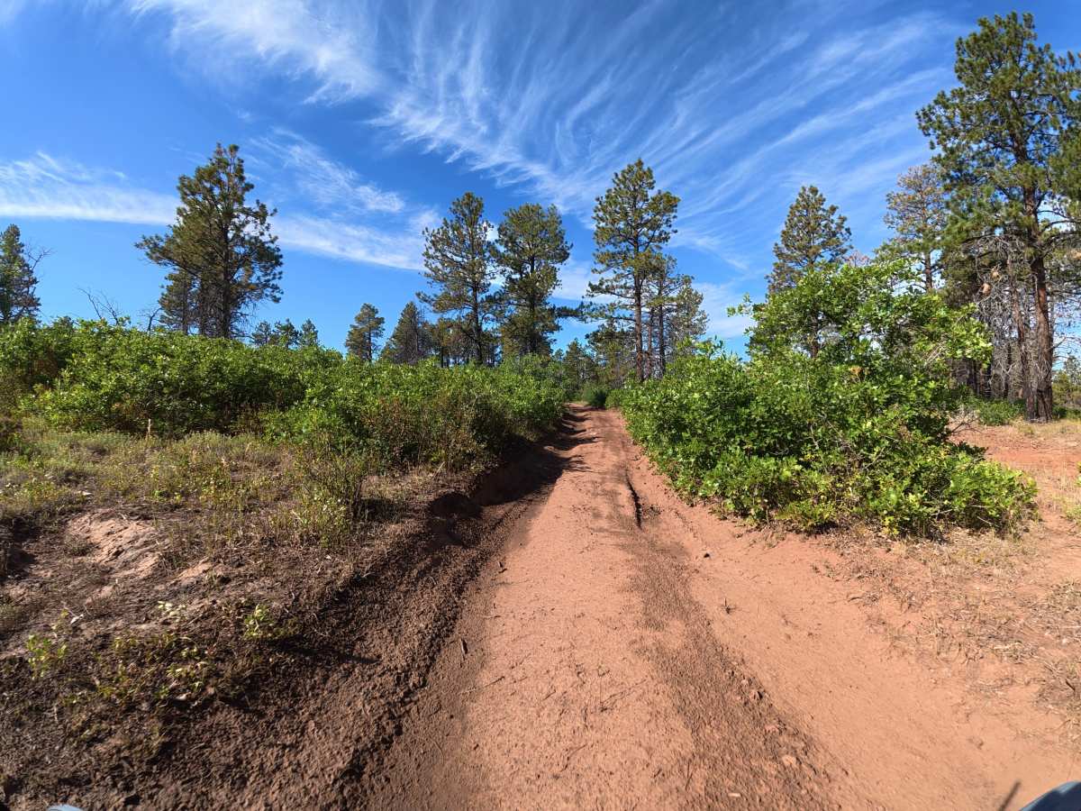 West Mesa Creek Road photo 2