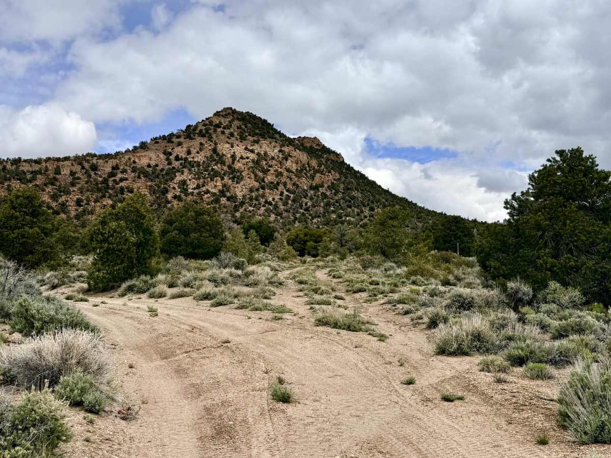  Straight Up - FS 44524A trail photo
