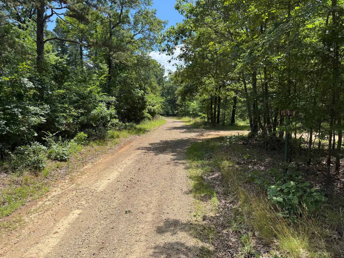 FS 1419 trail photo