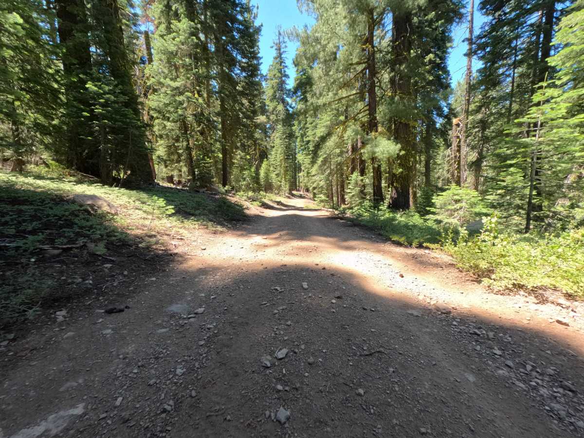 Sawtooth - Spur D photo 2