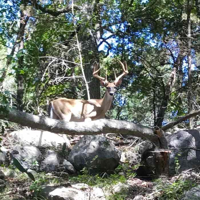 Near Hamilton Greenbelt Primitive Trail