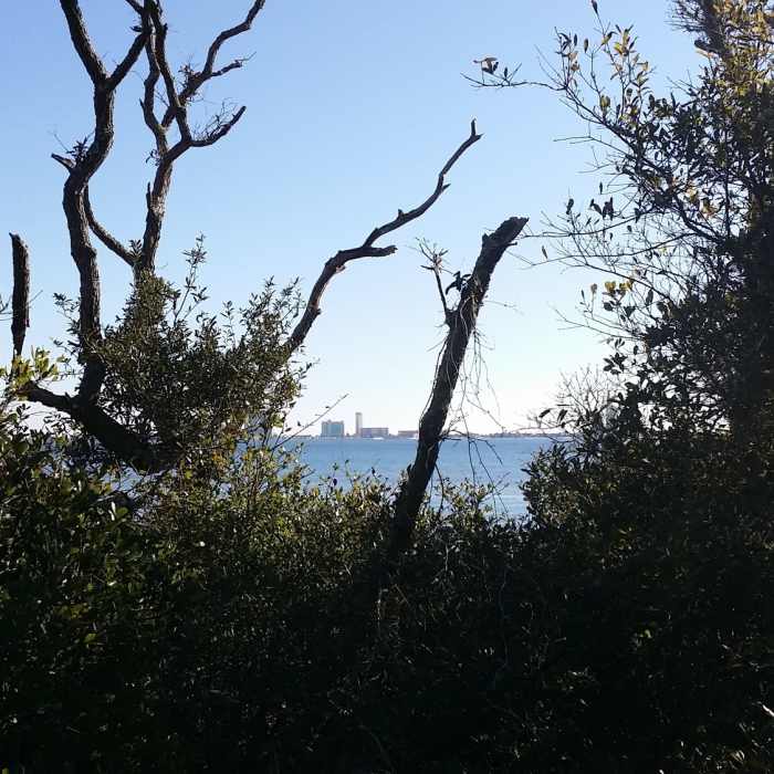View of Pensacola Beach from the fishing trail - Naval Live Oaks Near Naval Live Oaks Loop