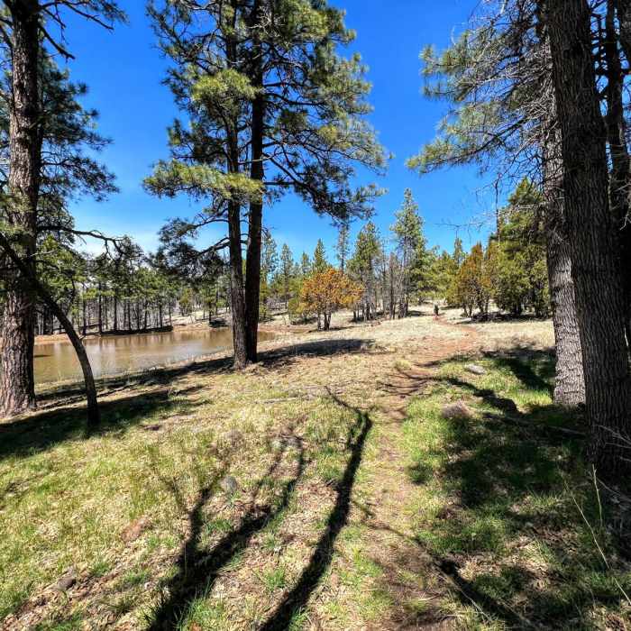 Near Arizona Trail Passage 28: Happy Jack