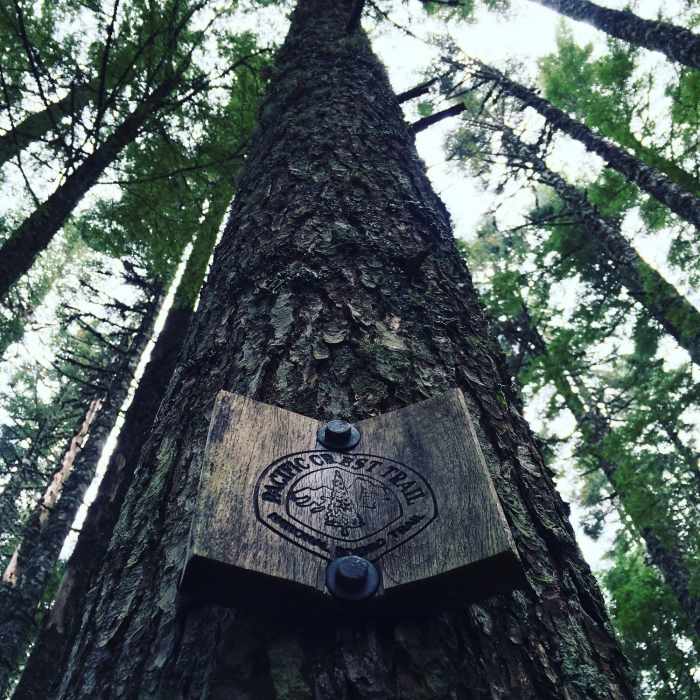 Near PCT: Herman Creek to Eagle Benson