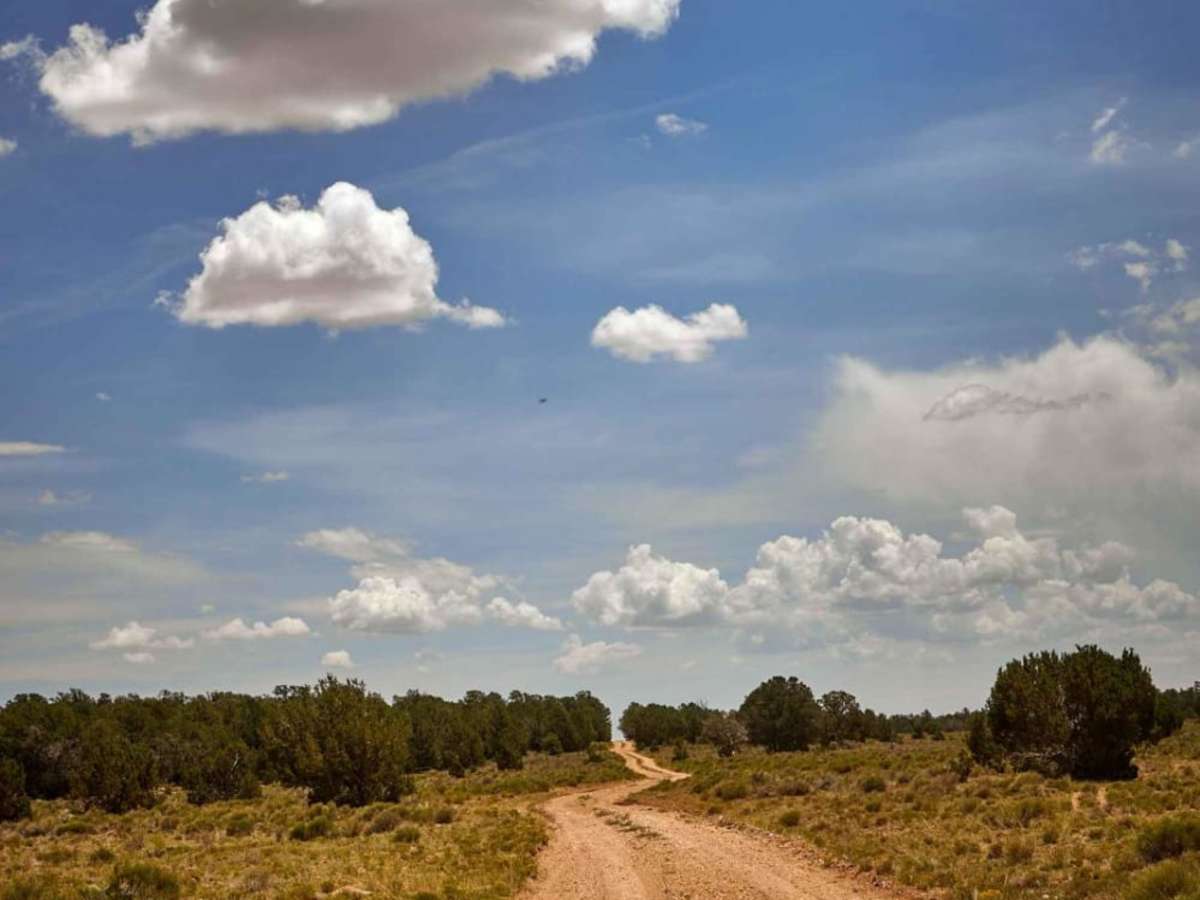 Old 301 Road (Southern Section) photo 6