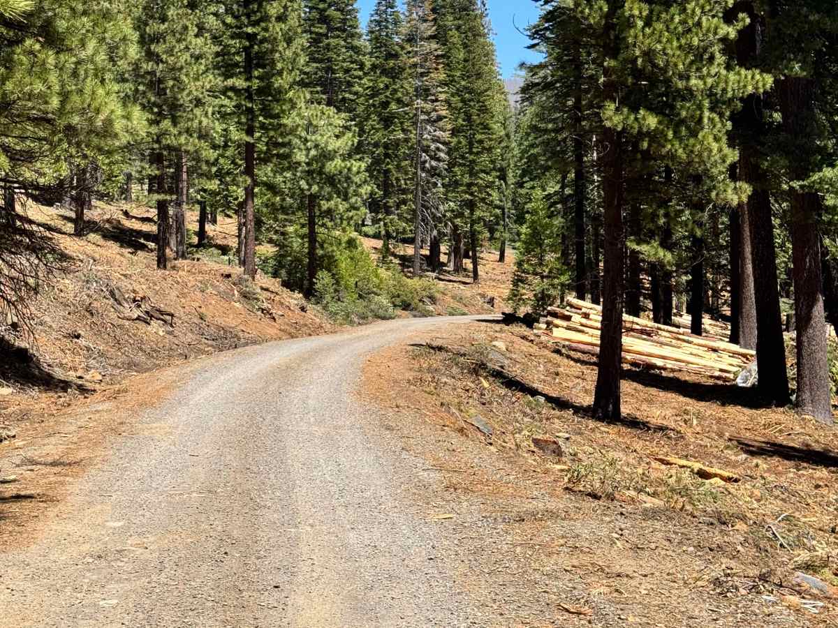 Scotts John - FS 26N27 trail photo