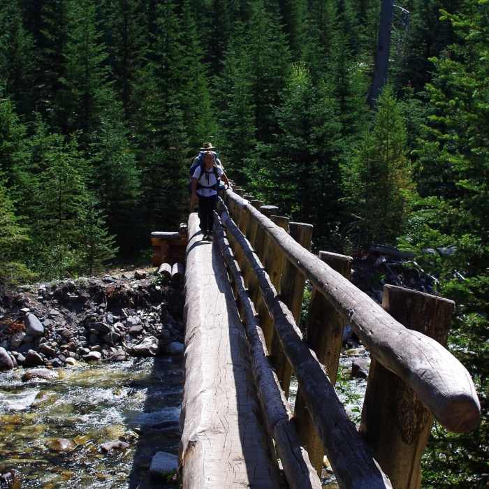 Crossing Hurricane Creek Near Ice Lake Trail #1808