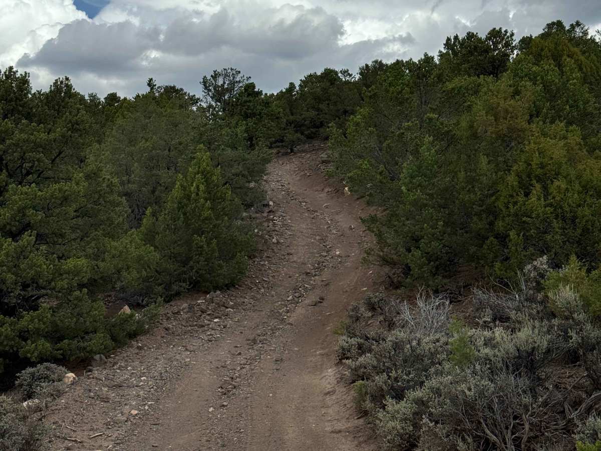 Little Cemetery Road photo 6