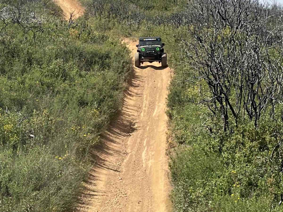 Boundary Ridge, Trail 25 photo 5