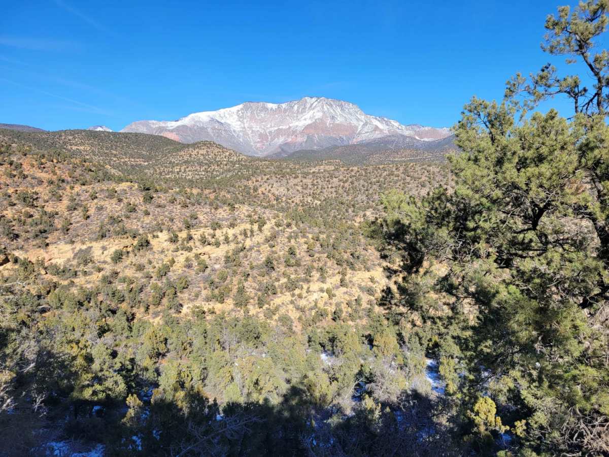 Cottonwood Creek photo 4