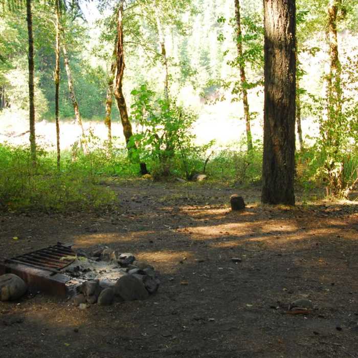 Near Alder Flats Hike + Campsites